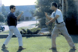 Bruce et Dan s'entranant dans le jardin de Bruce