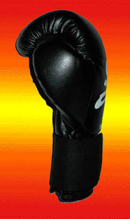 Profil Gant de Boxe