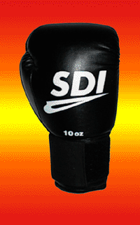 Dos Gant de Boxe