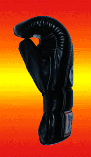 Profil Gant de Sac