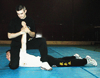 Jeet Kune Do 2