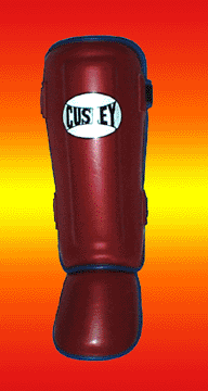 Protège Tibia avec Protection du Pied