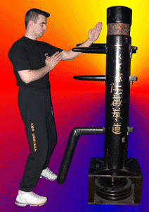 Mok Yan Chong Fa 3
